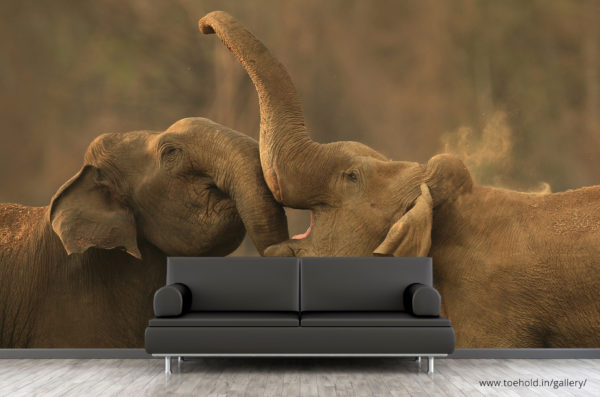 Elephant Combat Wallpaper