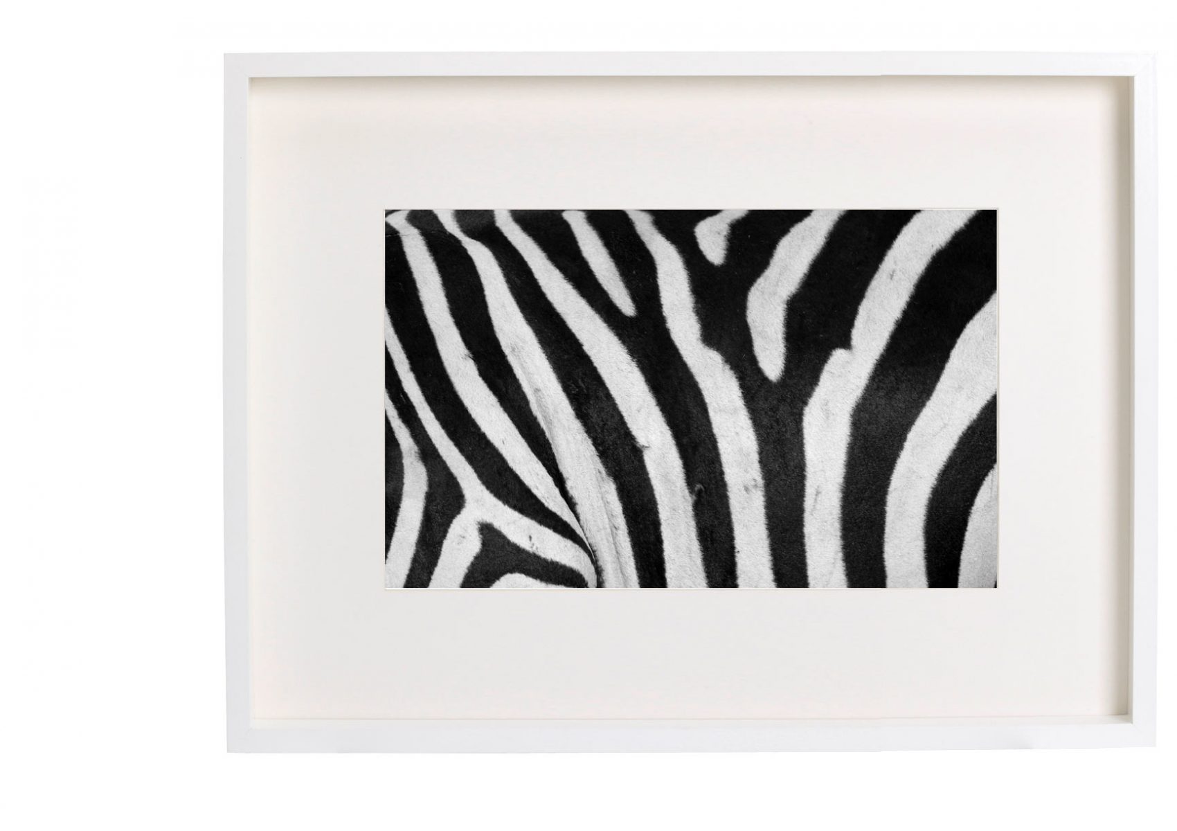zebra-frame-side