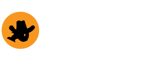 Toehold Camera Rent