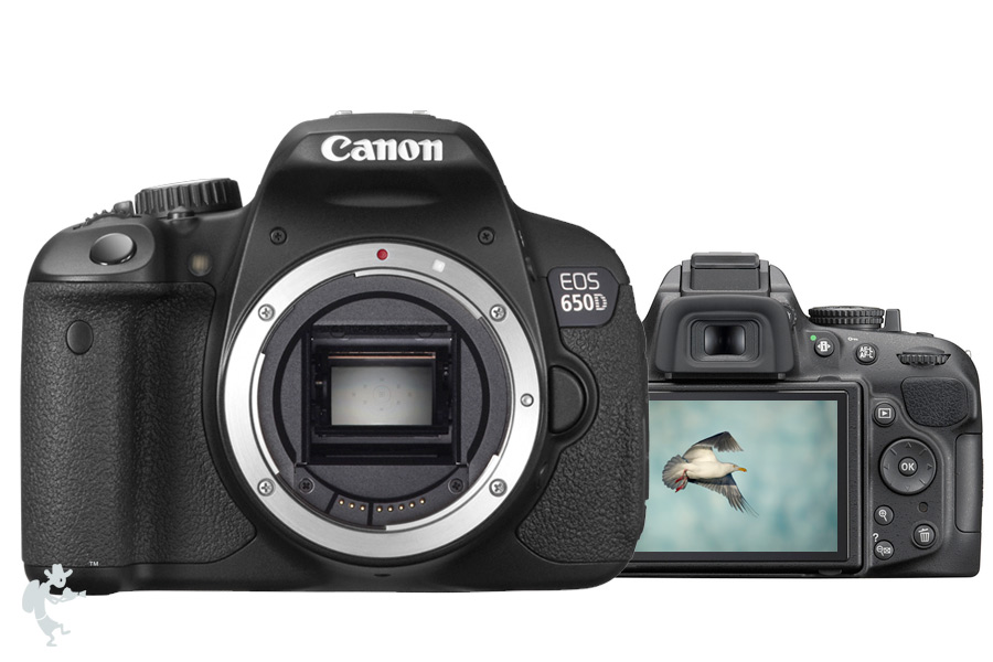 Canon 650D-for-rent
