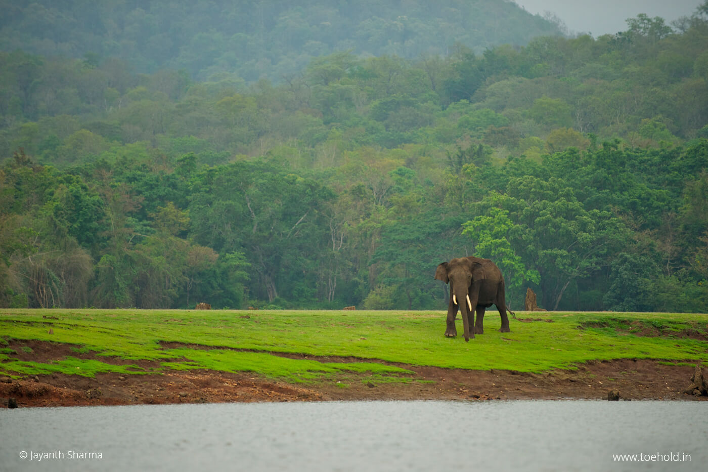tusker backwater scape 2024
