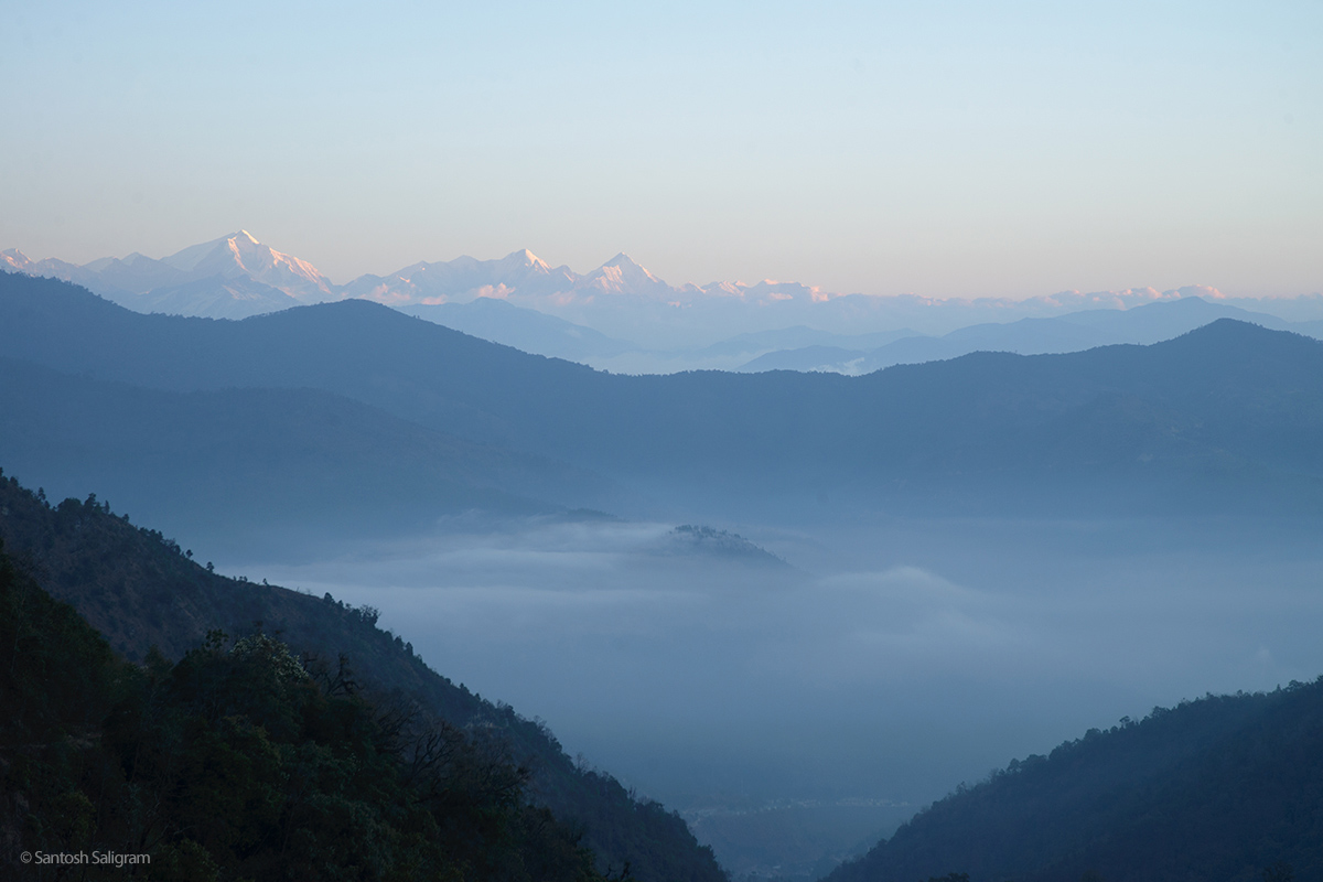 The high forests of Eaglenest Wildlife Sanctuary, Arunachal Pradesh. © Santosh Saligram