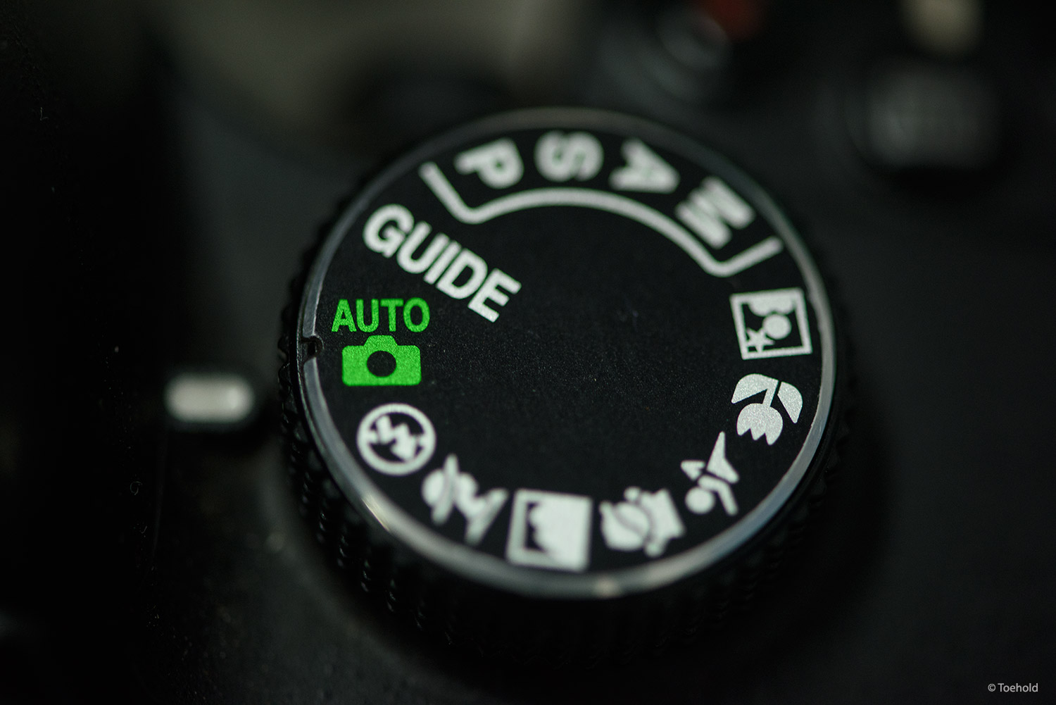 Why You Should Get Out of the Auto Mode in Your DSLR Now!