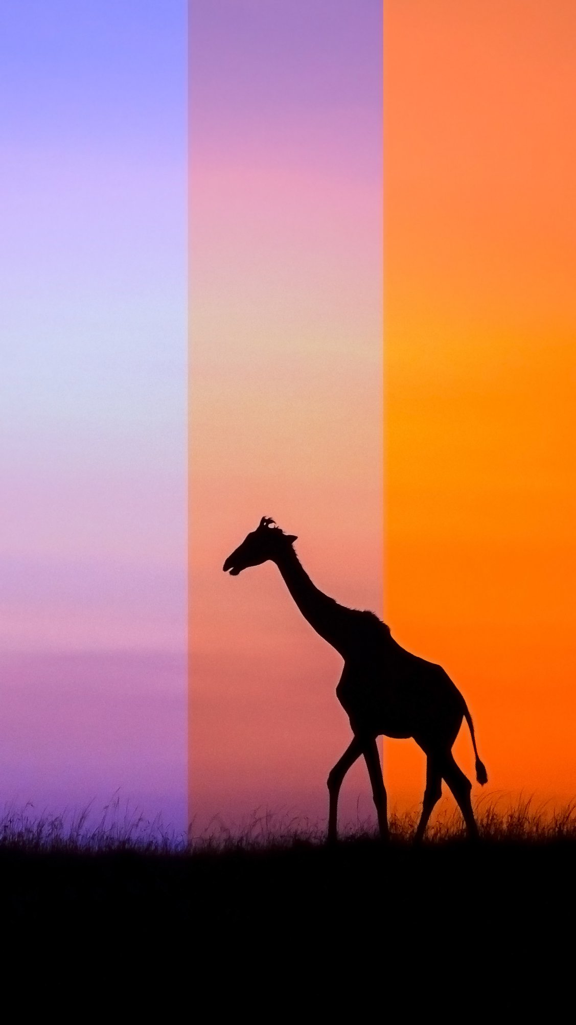 giraffe silhouette 2023