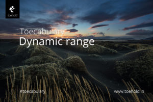 Toecabulary - Dynamic range