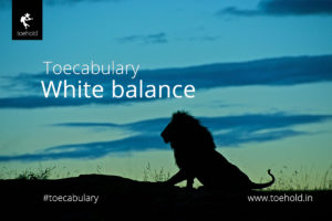 Toecabulary - White balance