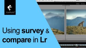 Nuggets - Using survey and compare in Lr