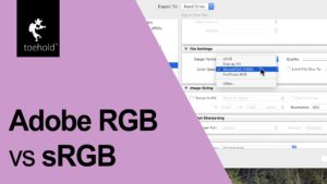 Nuggets - Adobe RGB vs sRGB
