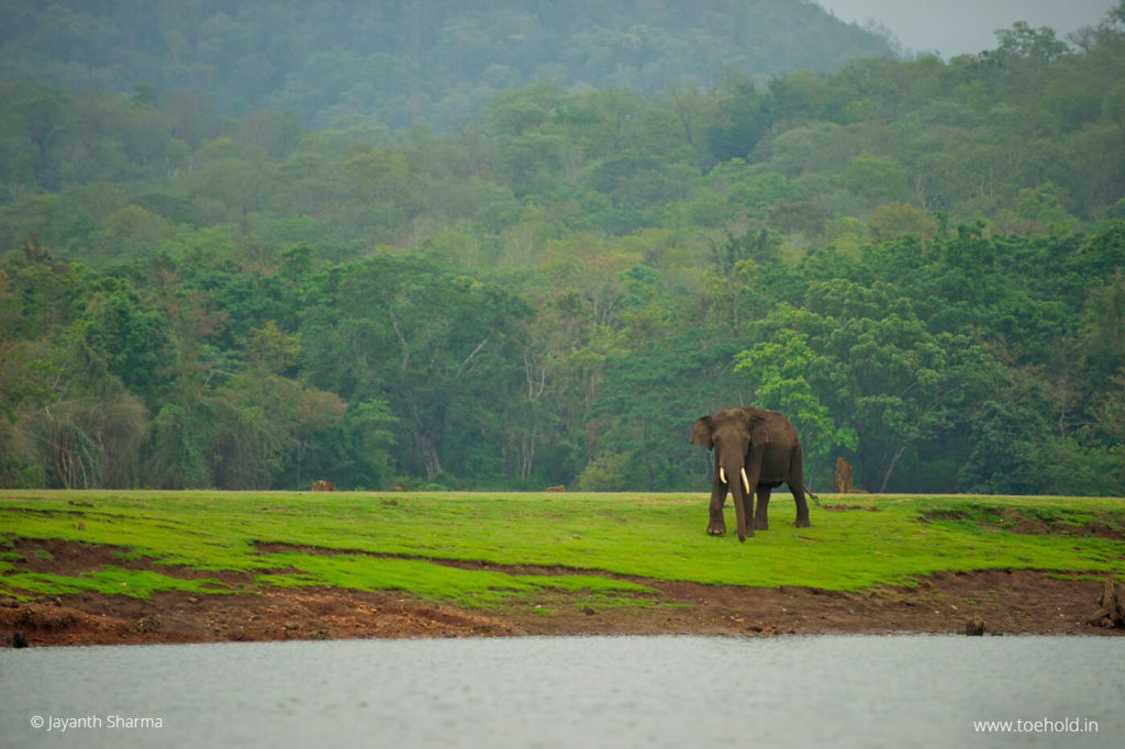 Things to do in kabini