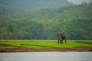 Things to do in kabini